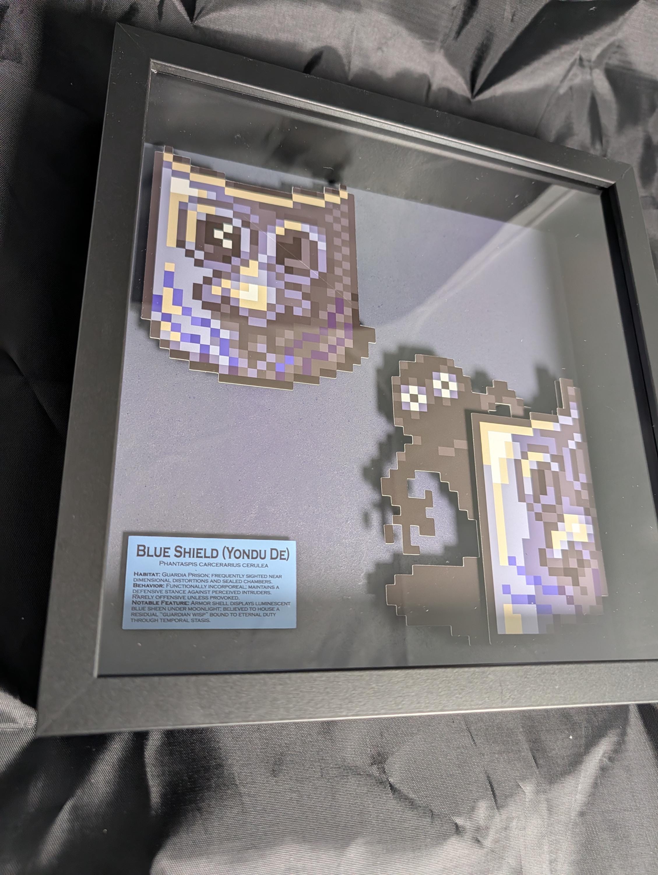 Blue Shield 10x10 Pixel Preservation