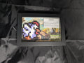 Cucco 4x6 Pixel Preservation
