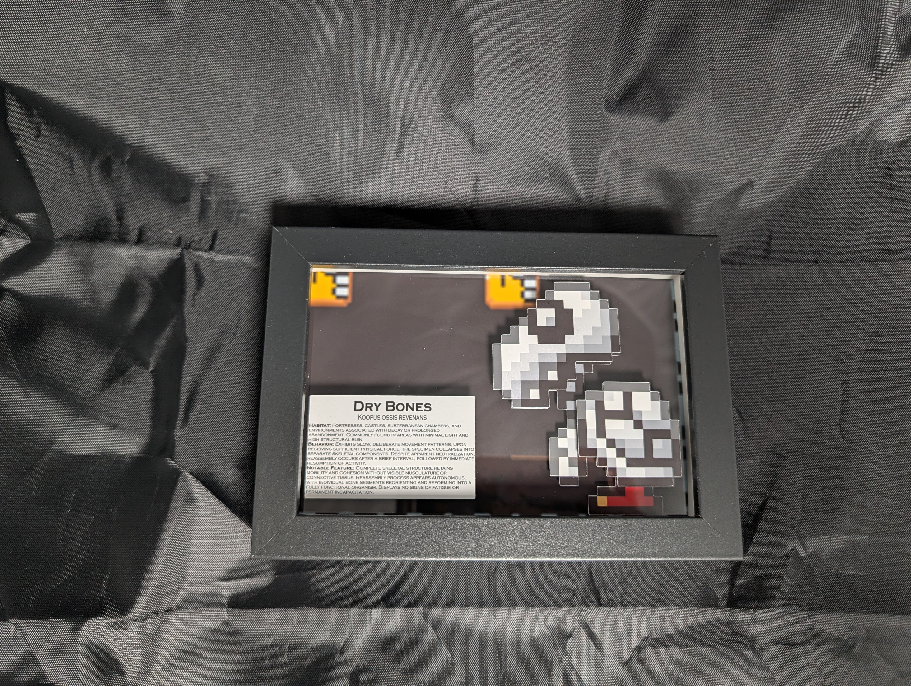 Dry Bones 4x6 Pixel Preservation