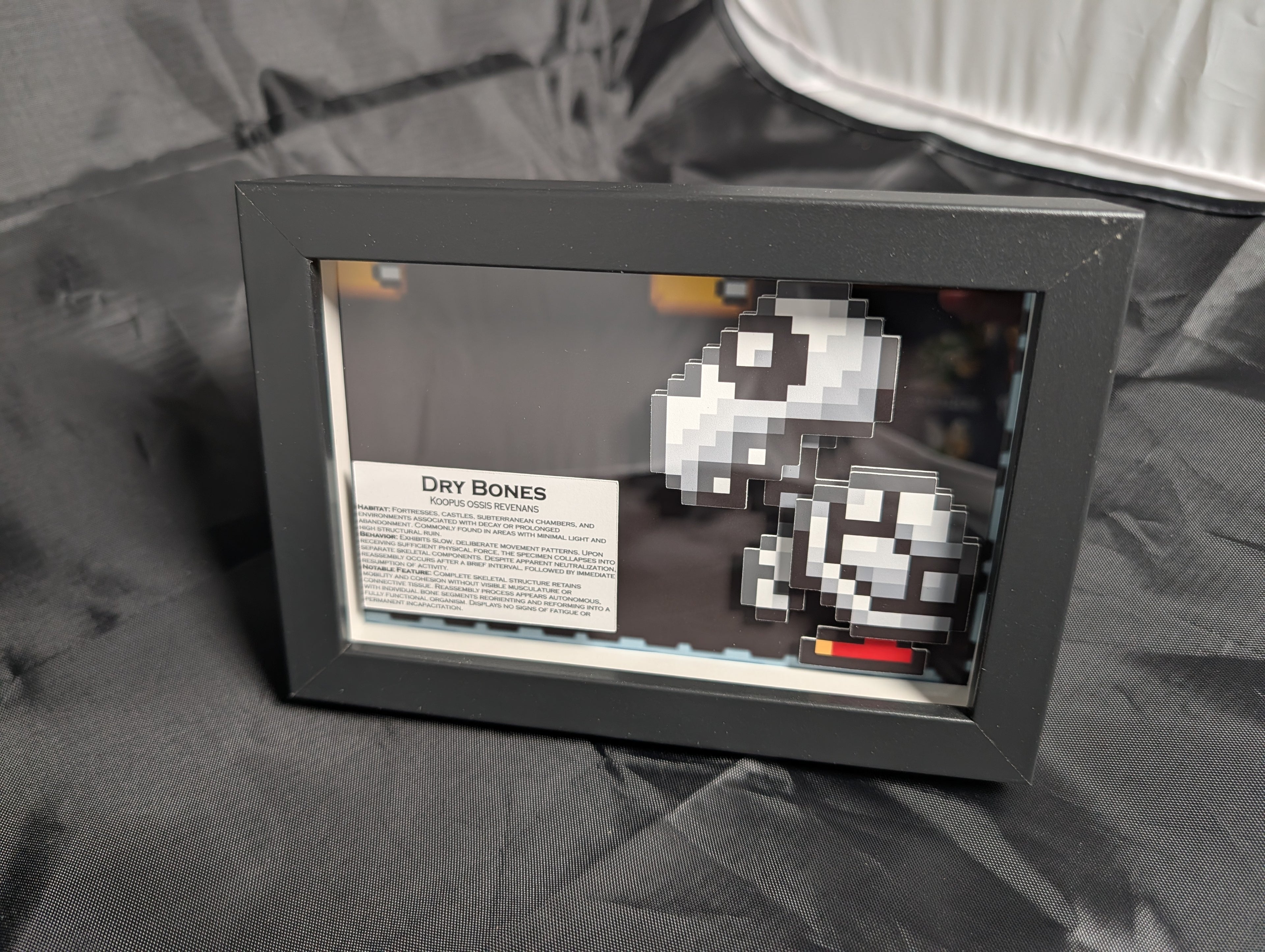 Dry Bones 4x6 Pixel Preservation