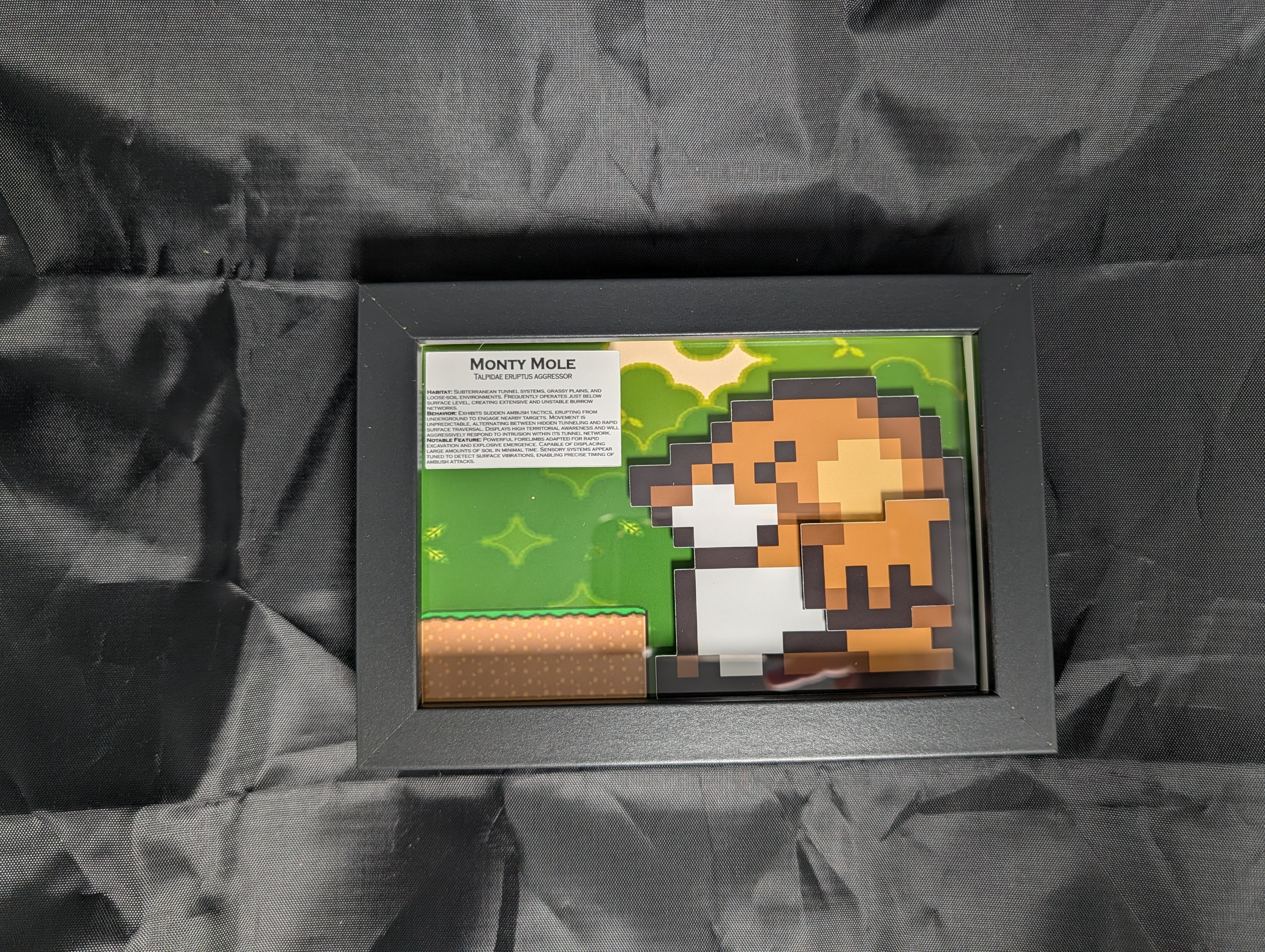 Monty Mole 4x6 Pixel Preservation