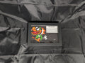 Mechakoopa 4x6 Pixel Preservation