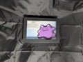 Ditto 4x6 Pixel Preservation