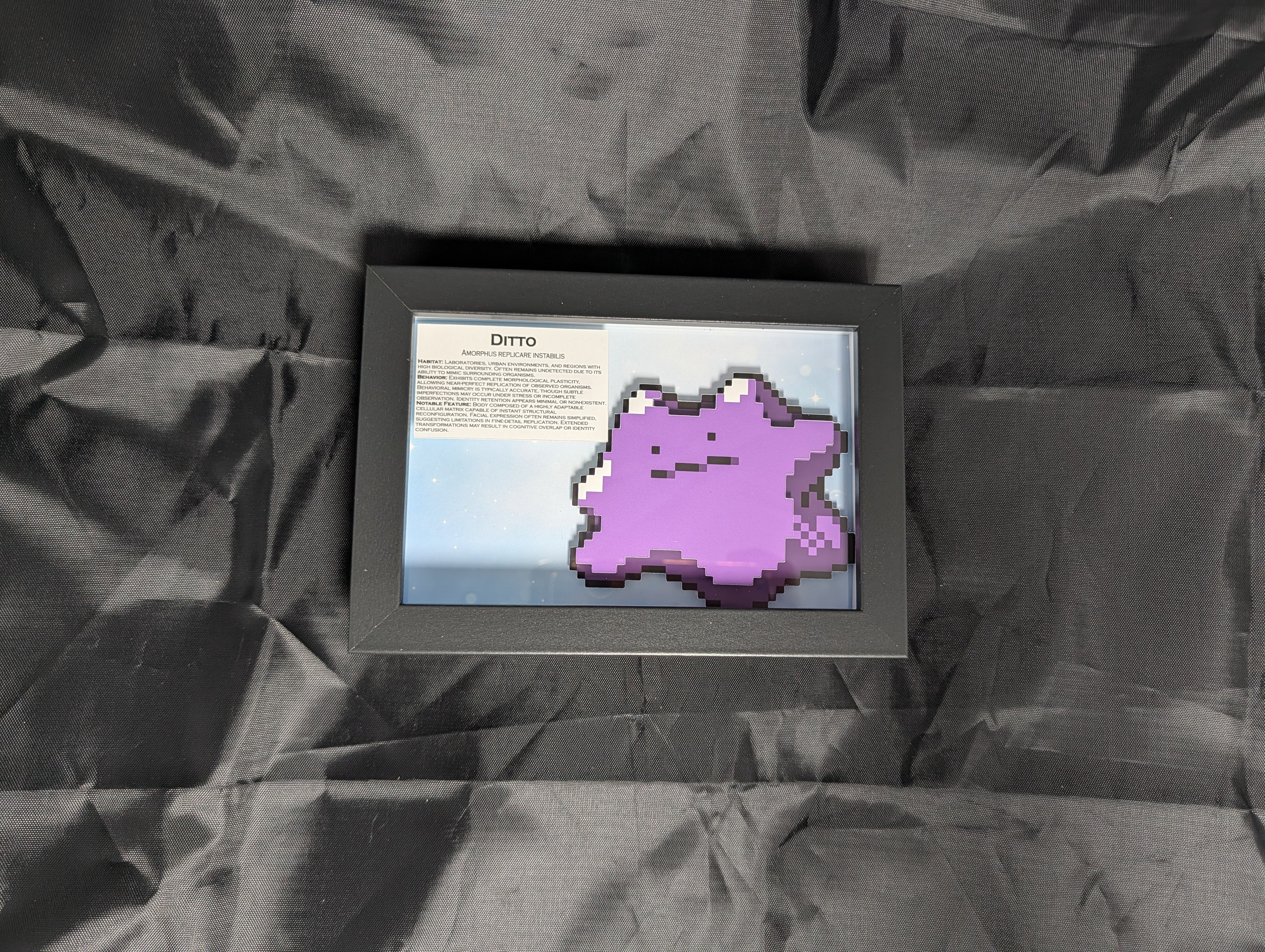 Ditto 4x6 Pixel Preservation