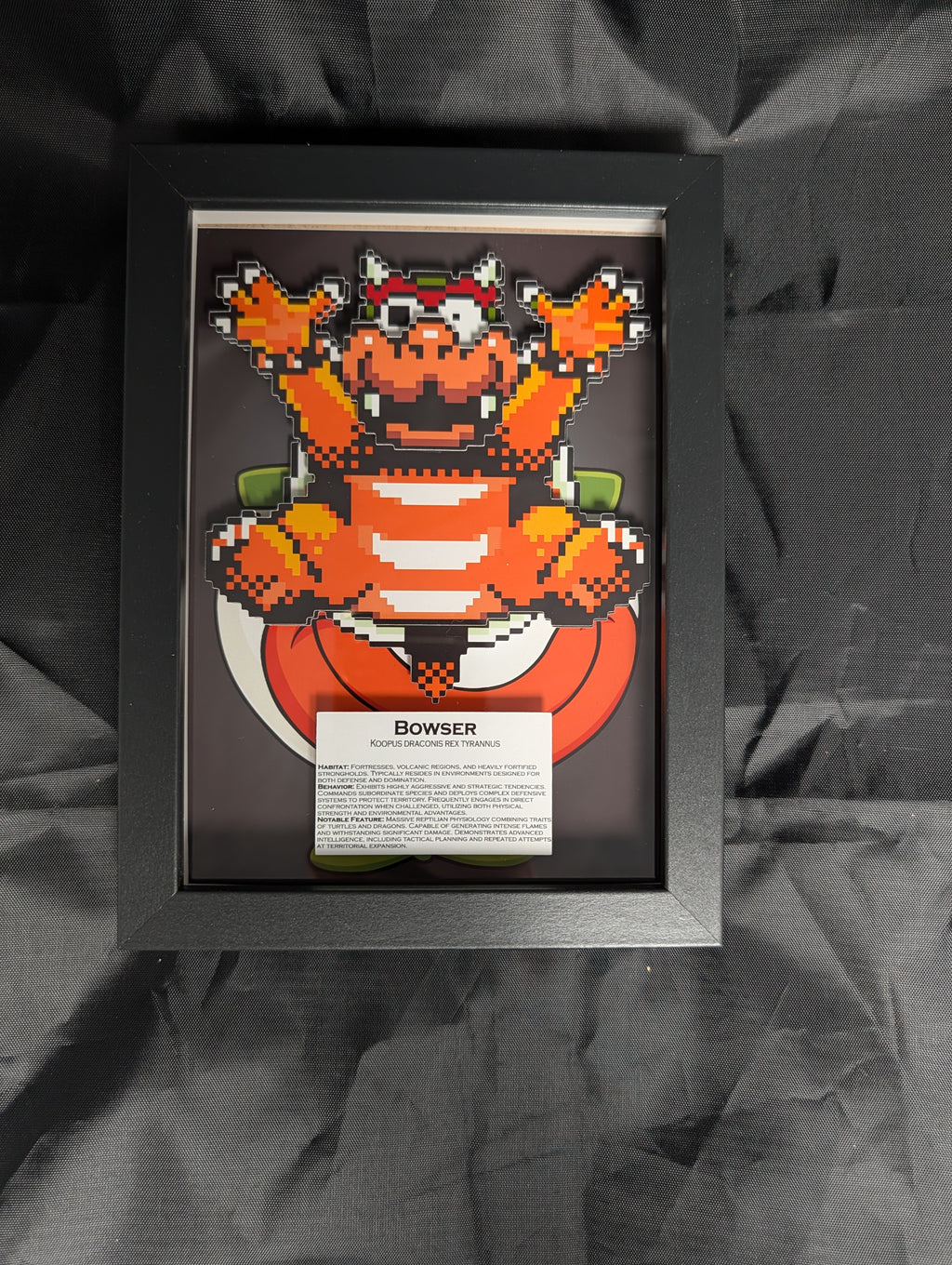 Bowser 5x7 Pixel Preservation