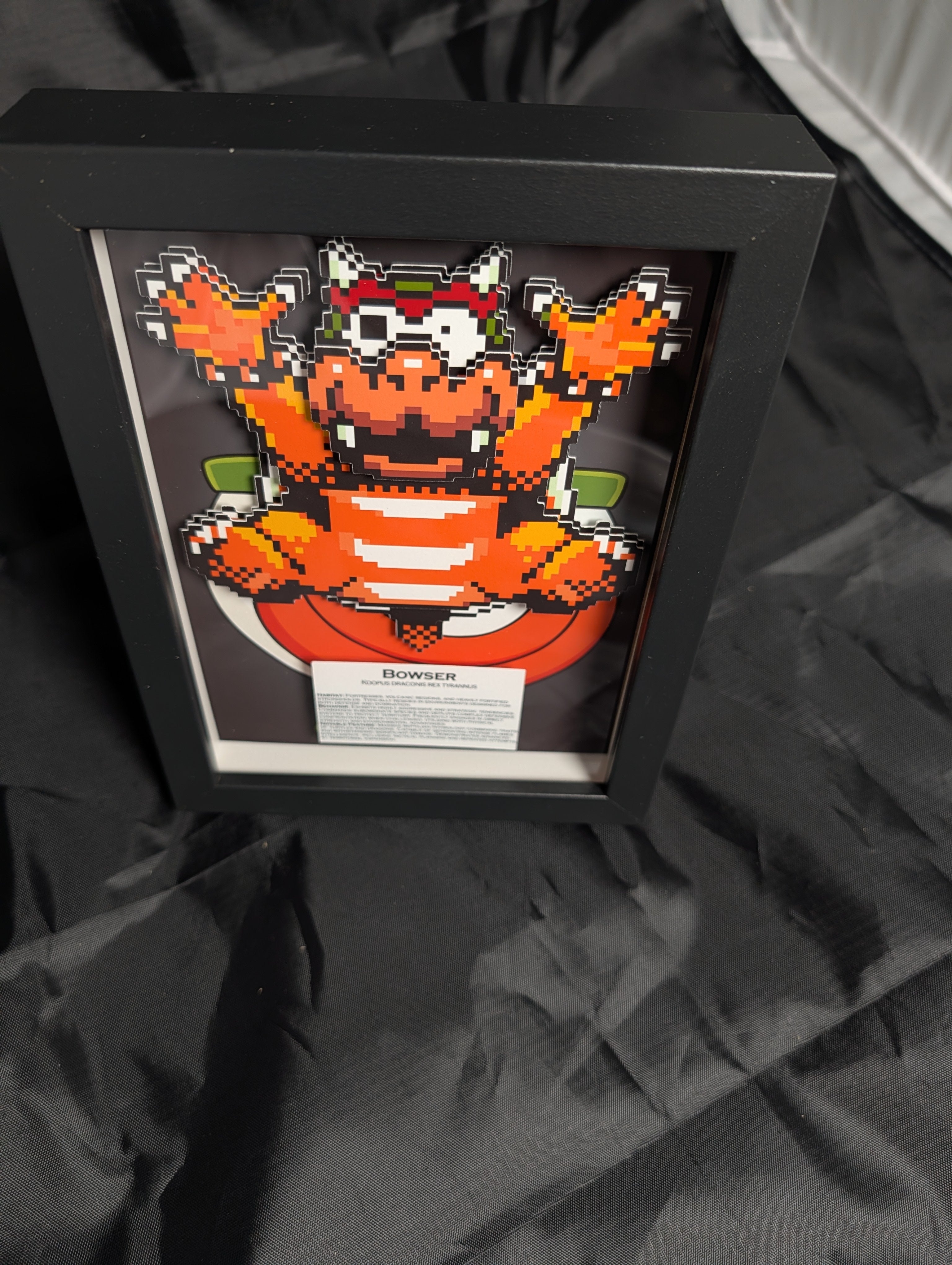 Bowser 5x7 Pixel Preservation
