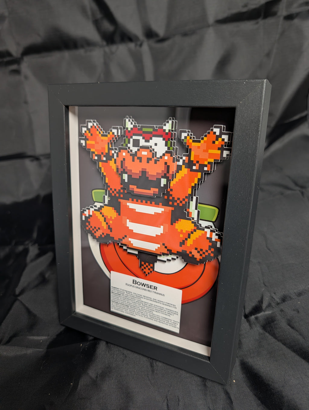 Bowser 5x7 Pixel Preservation