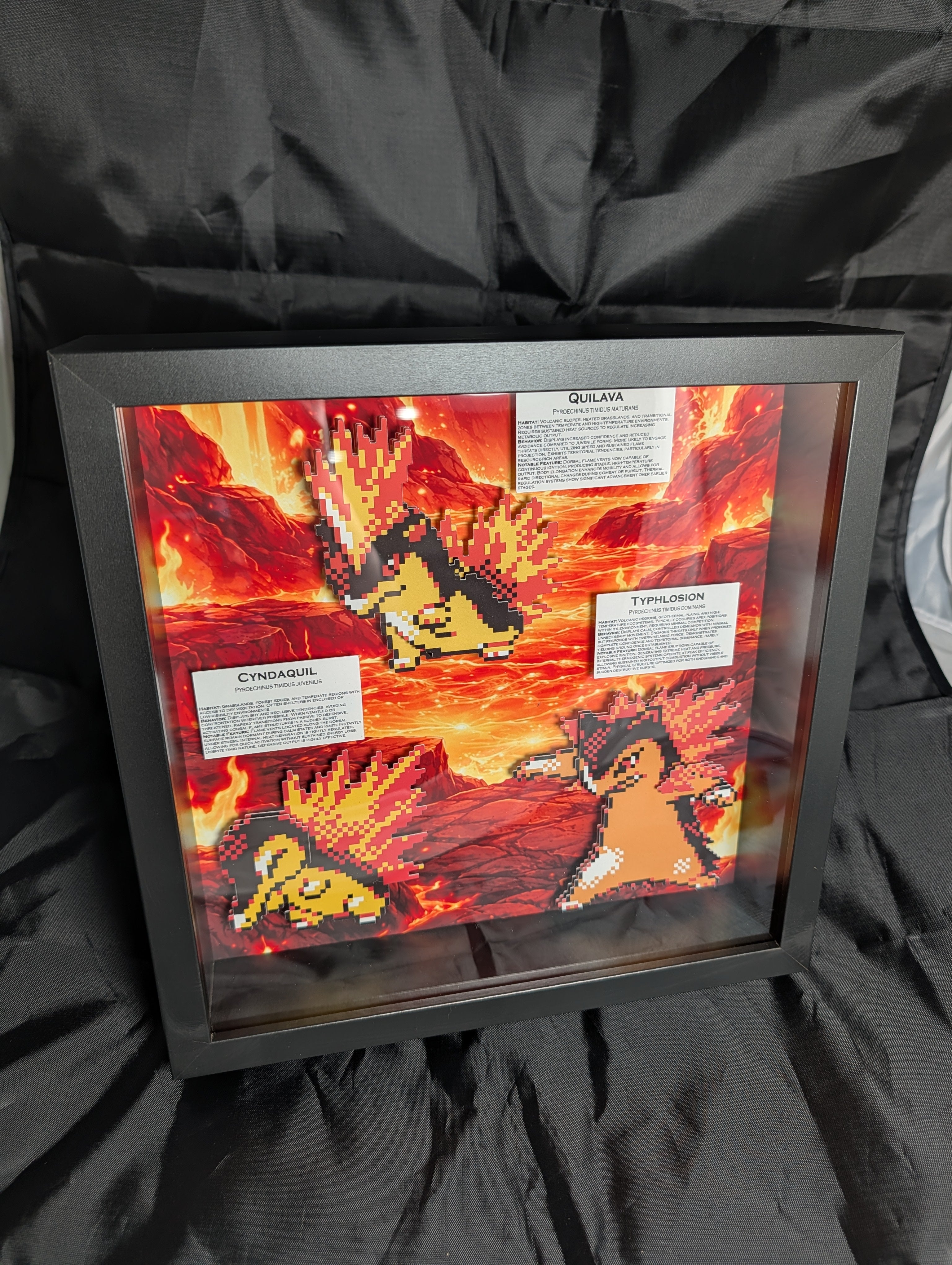 Pkmn Gen 2 Fire Evos 10x10 Pixel Preservation