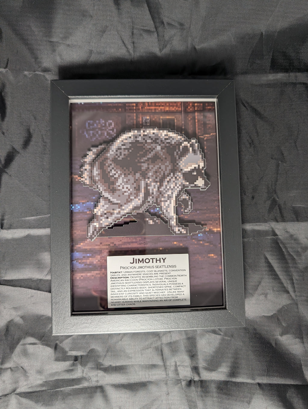 Jimothy – Pixel Preservation Shadow Box