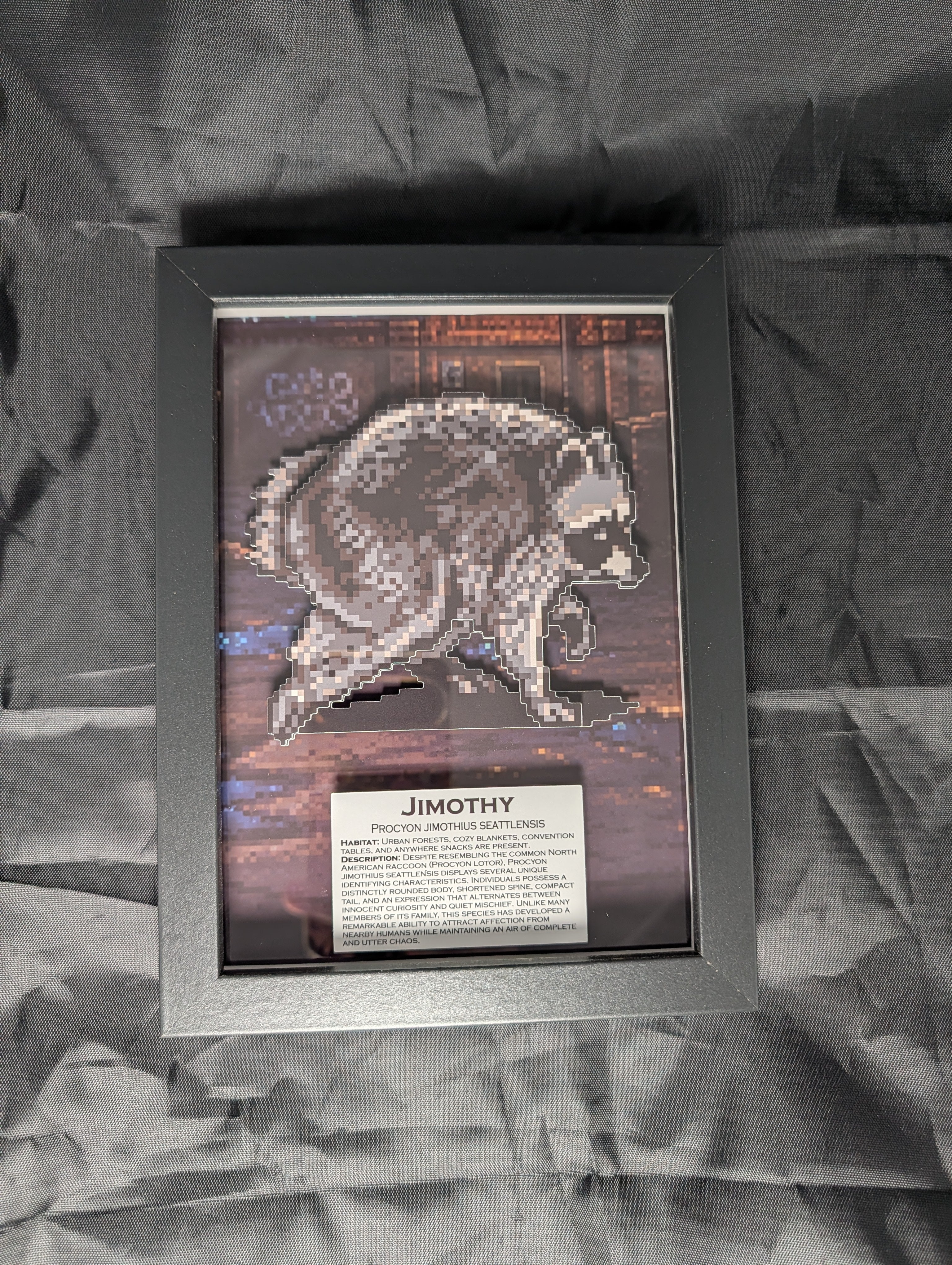 Jimothy – Pixel Preservation Shadow Box