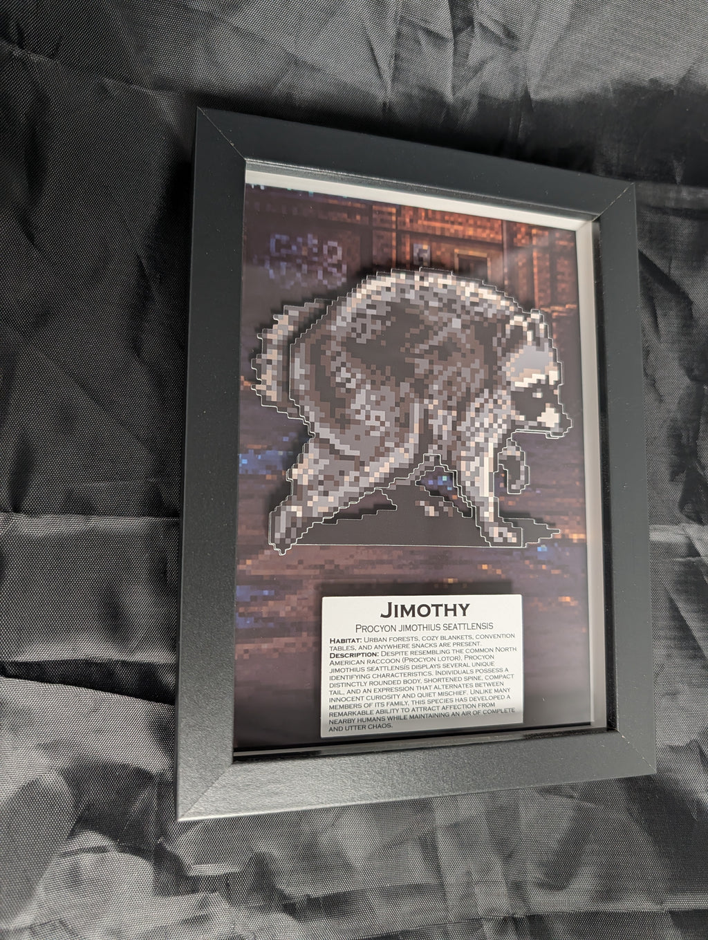 Jimothy – Pixel Preservation Shadow Box