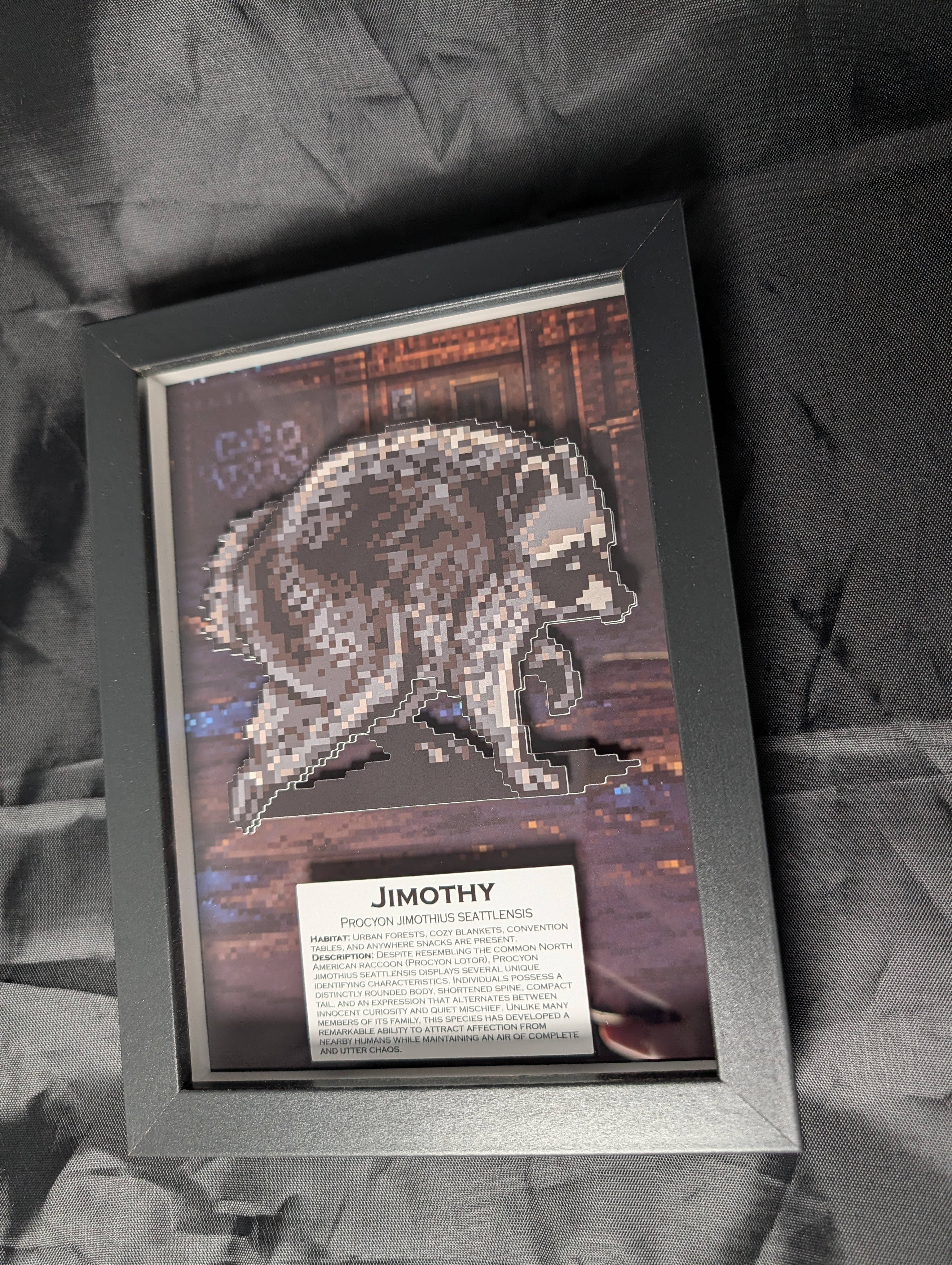 Jimothy – Pixel Preservation Shadow Box