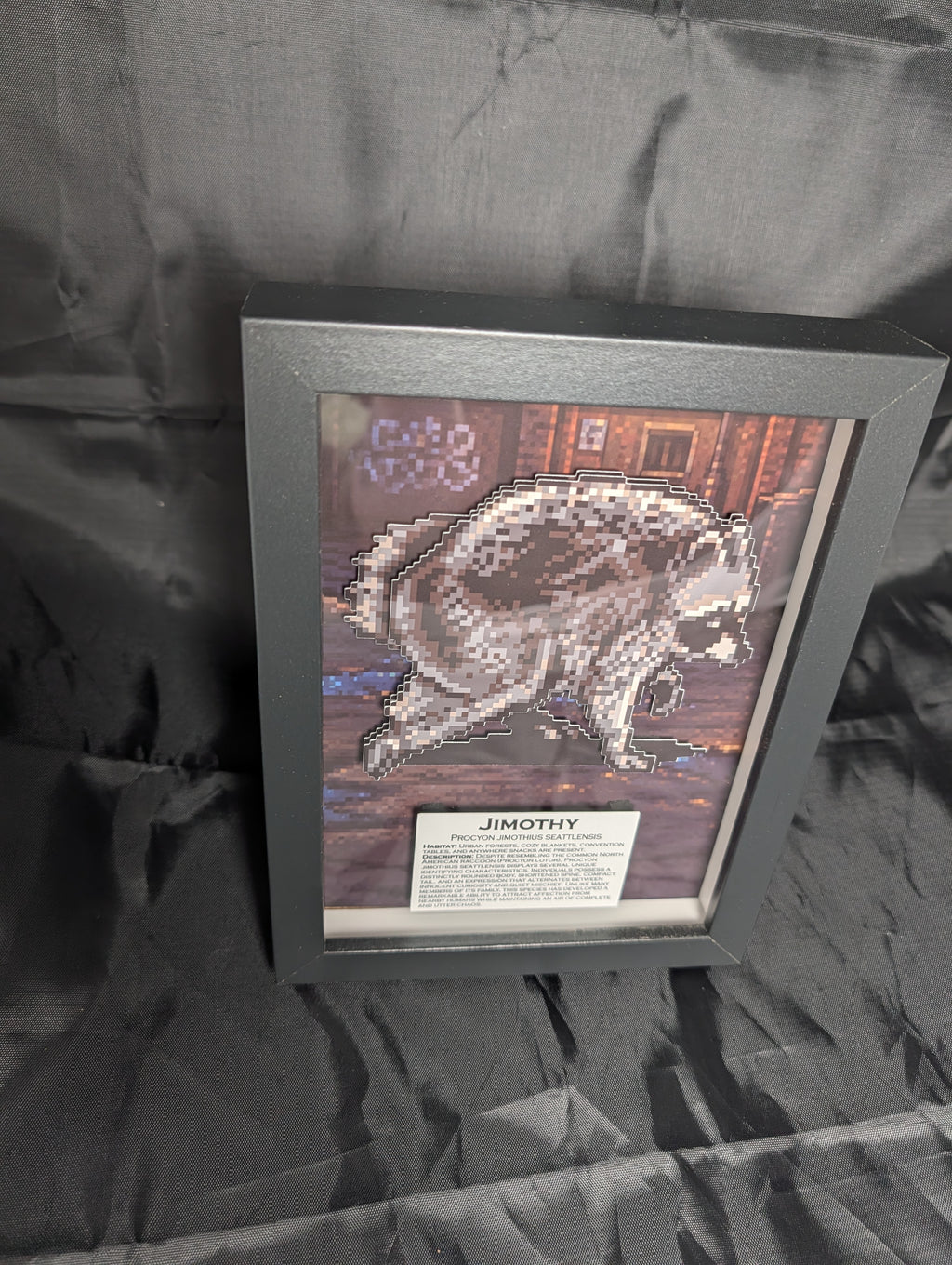 Jimothy – Pixel Preservation Shadow Box