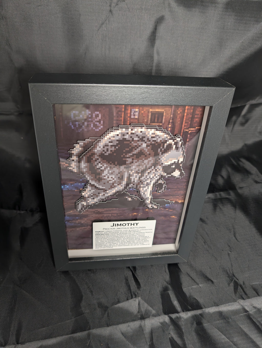 Jimothy – Pixel Preservation Shadow Box