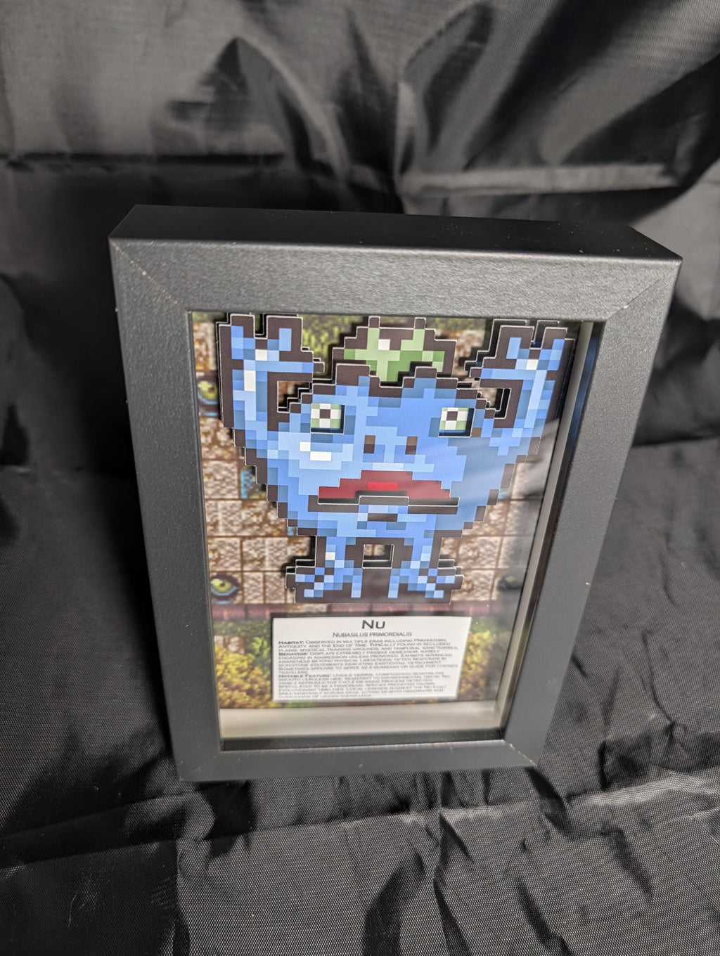 Nu 4x6 Pixel Preservation
