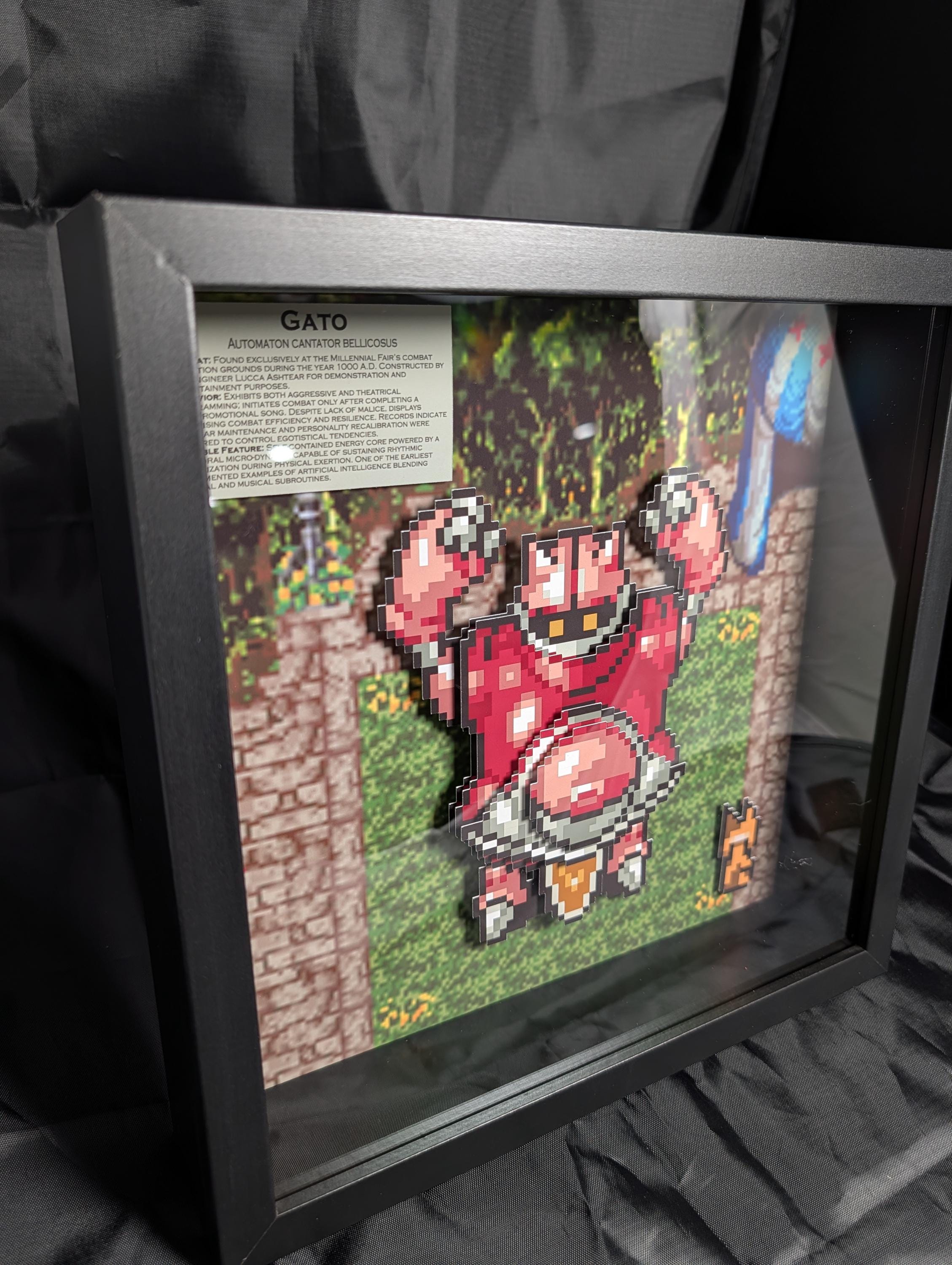 Gato 10x10 Pixel Preservation